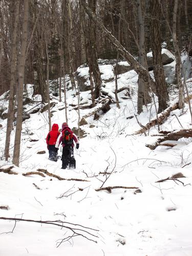 hikers on the trail to Bald Mountain