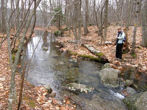 hiker on the trail to Bald Mountain in New Hampshire