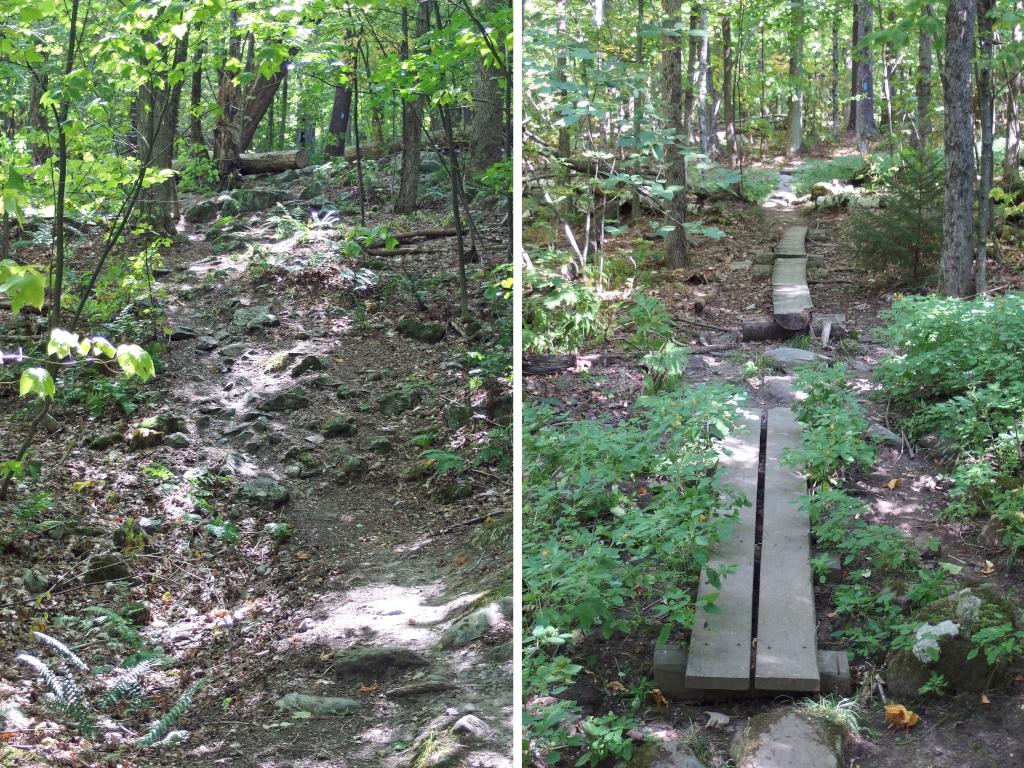 rough and smooth sections of trail in September at Bald Mountain in southern Vermont