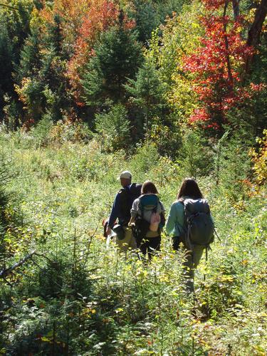 hikers on the way to West Baldface Mountain in New Hampshire