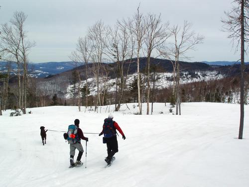 hikers in the woods on South Baldhead Mountain in New Hampshire