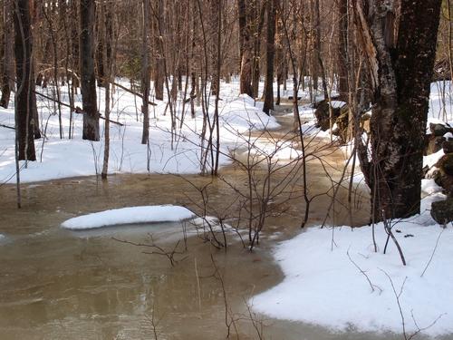 trail mini-flood in late winter on the way to Bald Ledge in New Hampshire