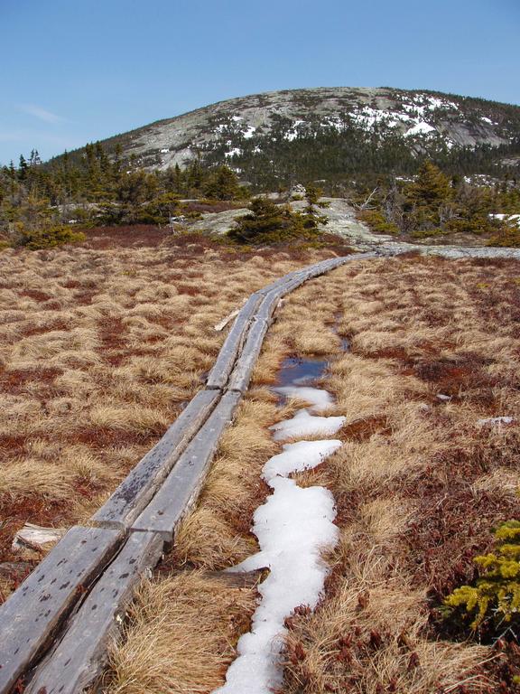 boardwalk on the trail to Baldpate Mountain in Maine