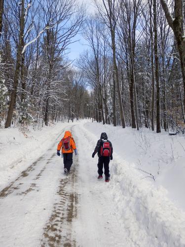 Carl and Ryzek head up the Old Toll Road on the way to Bald Rock on Mount Monadnock in New Hampshire