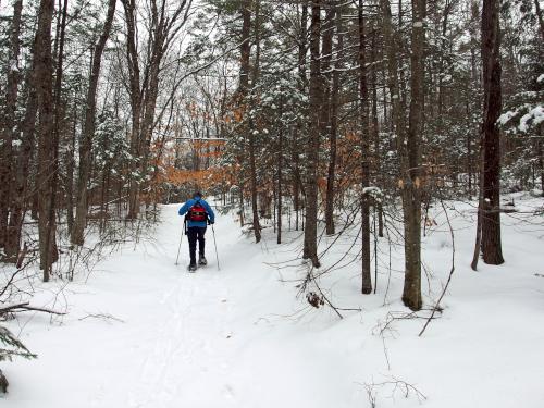 old road in January to Banks Pinnacle in western New Hampshire