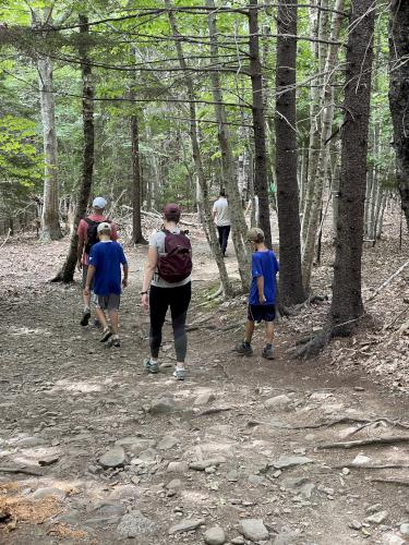 trail in September on Bar Island near Acadia National Park in Maine