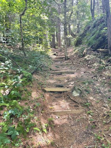 Craggy Knoll Trail in July at Bartholomew's Cobble in southwestern Massachusetts