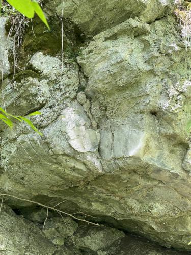 rock formation in July at Bartholomew's Cobble in southwestern Massachusetts