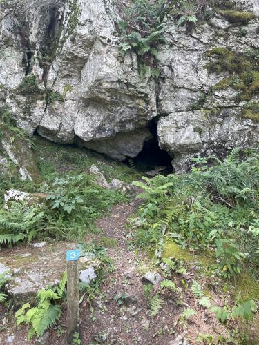 conglomerate rock formation in July at Bartholomew's Cobble in southwestern Massachusetts