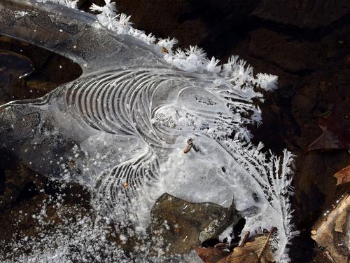 artistic ice