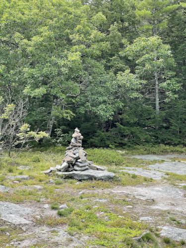 summit in August at Bauneg Beg Mountain in southwest Maine