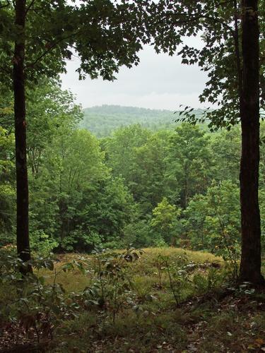 drizzled-out viewpoint at Beals Knob at Pisgah State Park in southwestern New Hampshire