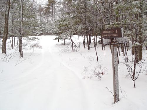 trail junction near the summit of Bear Hill at Bear Brook State Park in New Hampshire