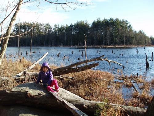 hiker at Hayes Marsh at Bear Brook State Park in New Hampshire