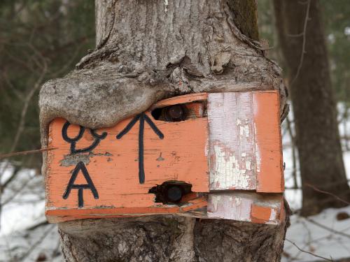 trail sign in January at Bear Hill in southwestern New Hampshire