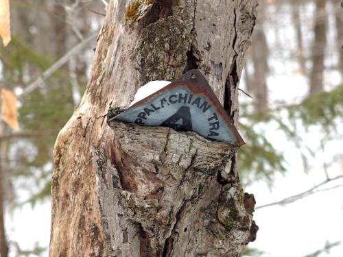 old AT sign in January at Bear Hill in southwestern New Hampshire