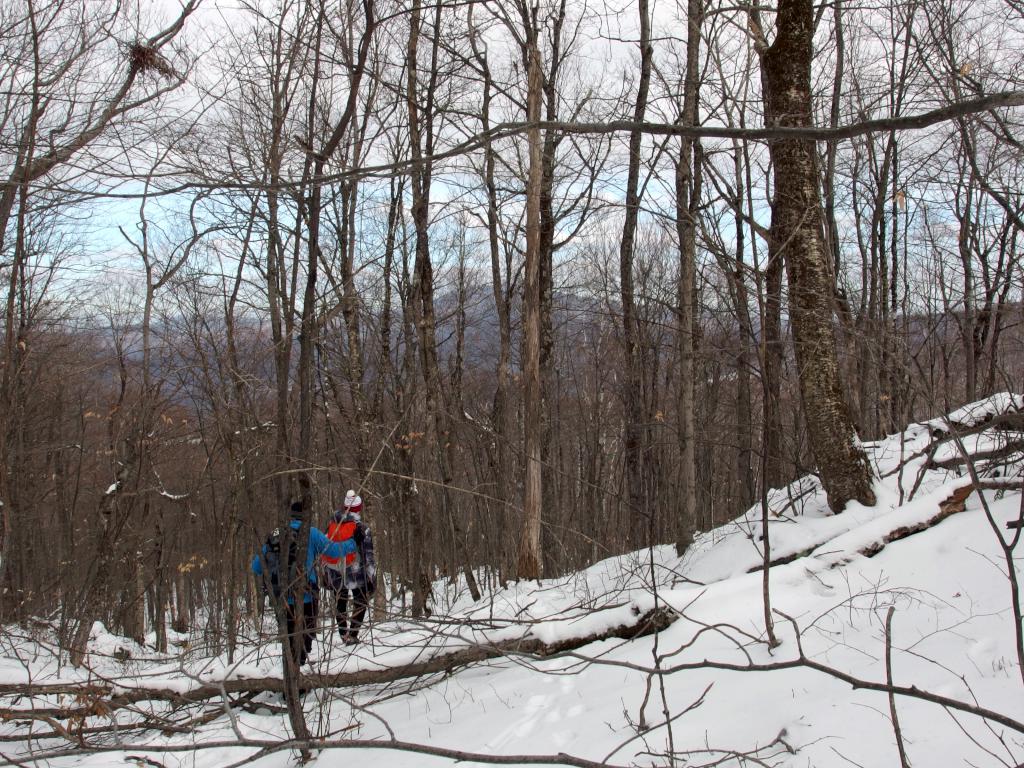 Carl and Dick in January bushwhacking down from Bear Hill in southwest New Hampshire