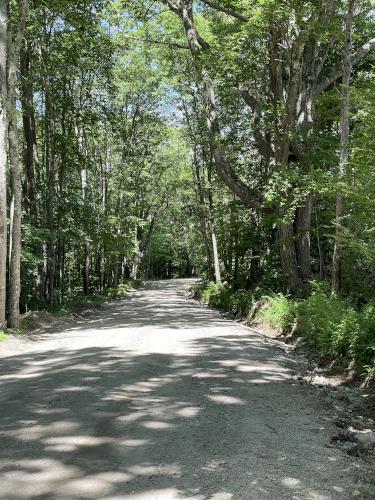 road in August near Bear Hill near Hillsboro in southern NH