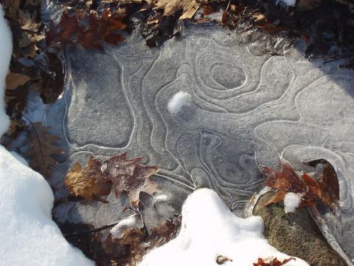 artistic pond ice at Beaver Brook in New Hampshire