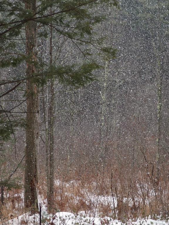 the start of a snowstorm creates an abstract painting beside Elkins Road at Beaver Brook in New Hampshire