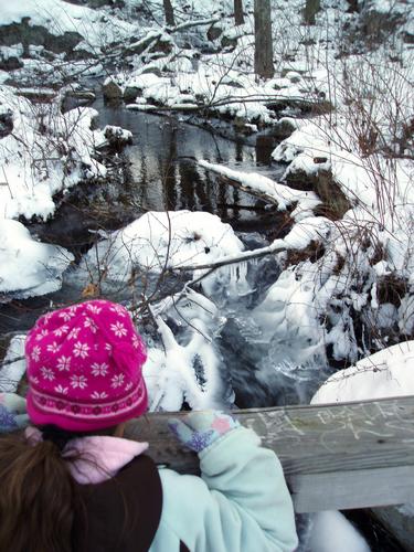 winter hiker at Beaver Brook in New Hampshire