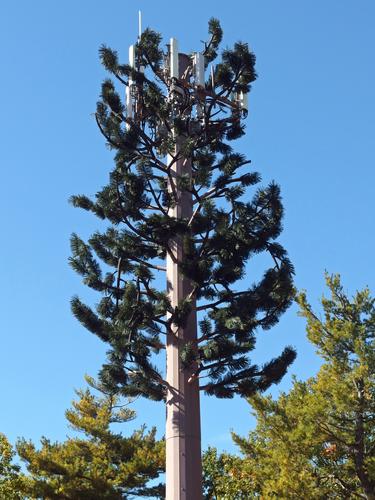 fake-tree communication tower on Beech Hill in Dublin, New Hampshire