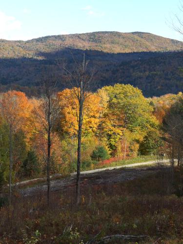 colorful trees at Bell Mountain in western Maine