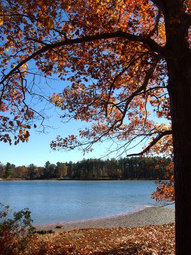 water view at Bellamy River Wildlife Sanctuary in eastern Massachusetts