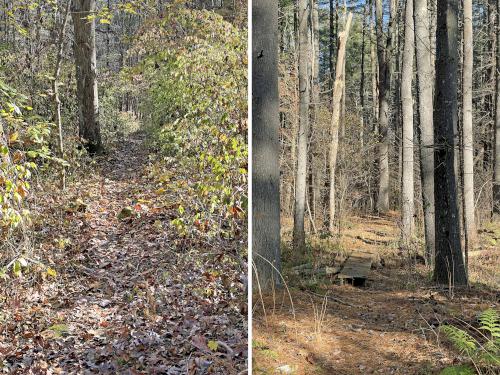 trails in November at Berlin Meadows in eastern Massachusetts