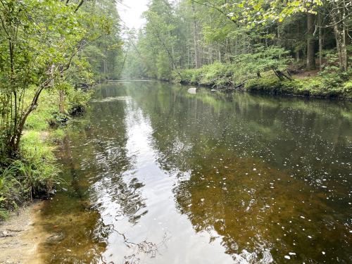 Squannacook River in September at Bertozzi WMA in northeast MA