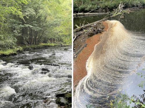 Squannacook River in September at Bertozzi WMA in northeast MA