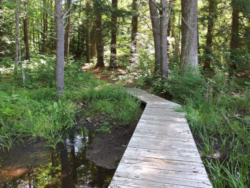 foot bridge at Betsey Dodge Conservation Area in southern New Hampshire