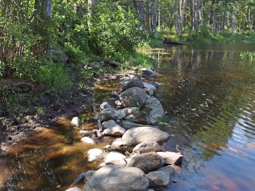 flooded trail in July at Betsey Dodge Conservation Area in southern New Hampshire