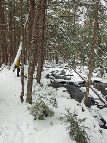 Dick in January on the Bicknell/Colette Trail in southern New Hampshire