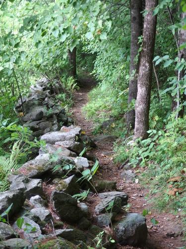 trail to Bill Hill near Thetford in eastern Vermont