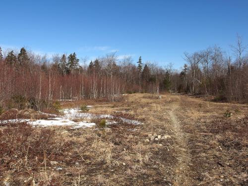 photo in March at Binney Hill in southern New Hampshire