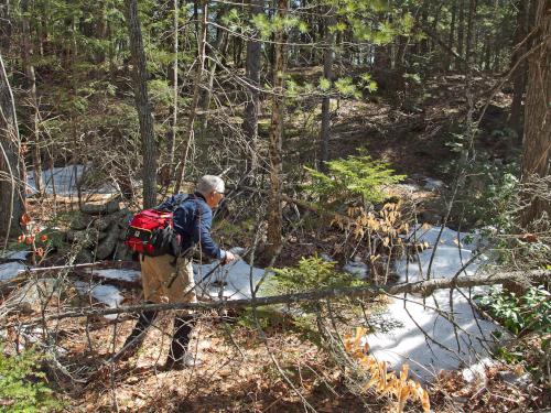 bushwhack in March at Binney Hill in southern New Hampshire