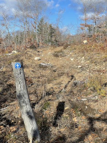 trail in November at Birch Ridge in eastern New Hampshire