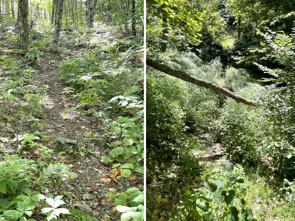 trail in September at Bird Mountain in southern Vermont