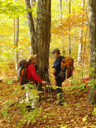 hikers on the trail to Black Mountain in New Hampshire