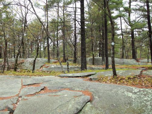 rocky summit of Black Mountain in southern Vermont