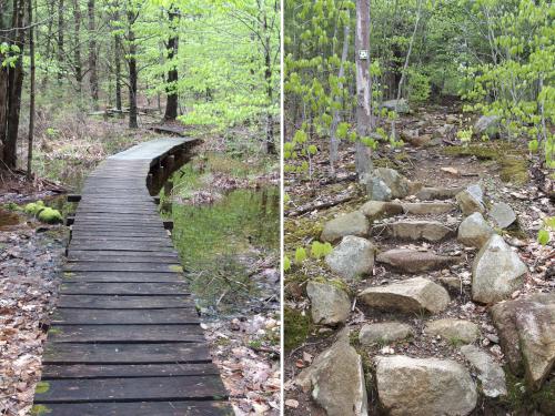 trail to Black Mountain in southern Vermont