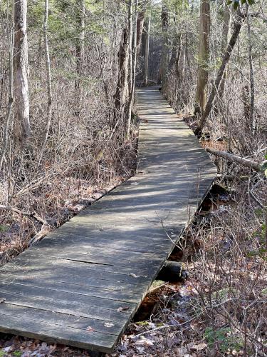 boardwalk in December at Black Pond Nature Preserve in eastern Massachusetts