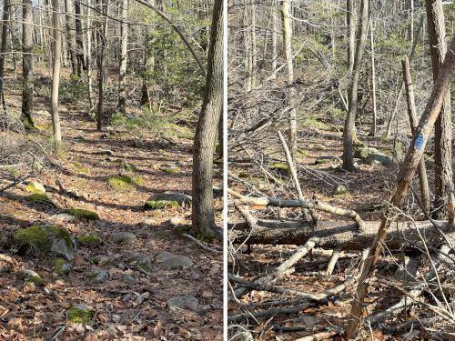 Merrick Trail in December at Black Pond Nature Preserve in eastern Massachusetts