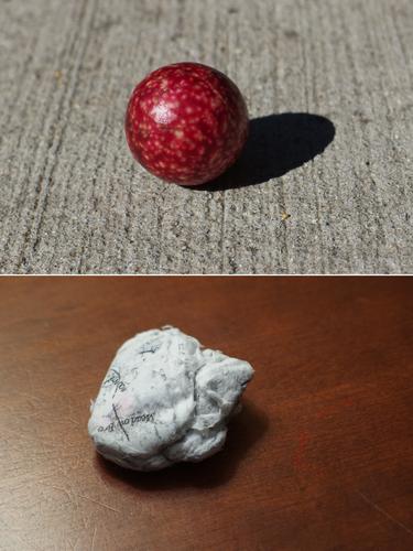 gall and mashed topo map at Black Snout North Mountain in the Ossipee Range in central New Hampshire