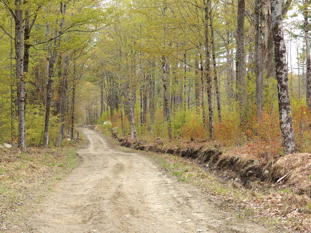 snowmobile trail in May leading to Blood Mountain near Goshen in southern New Hampshire