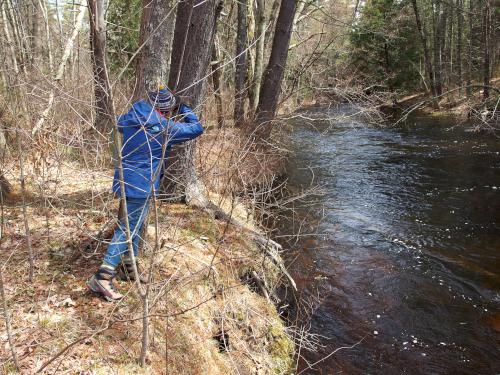 Beaver Brook at Bockes Forest in southern New Hampshire