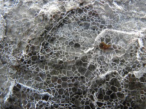 crackled frozen-ice pattern on Bog Mountain in New Hampshire