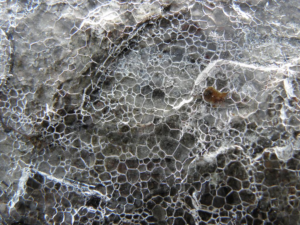 crackled frozen-ice pattern on Bog Mountain in New Hampshire