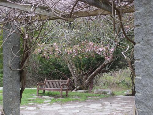 garden beside the Ames Mansion at Borderland State Park in eastern Massachusetts